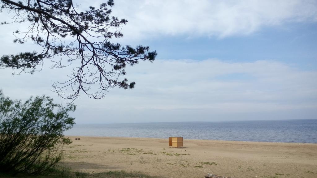 Koidula Holiday Home Narva-Jõesuu Zewnętrze zdjęcie